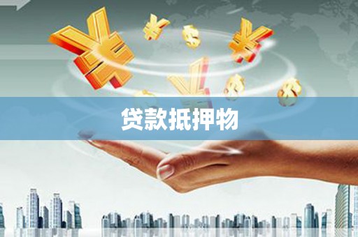 水林贷款抵押物