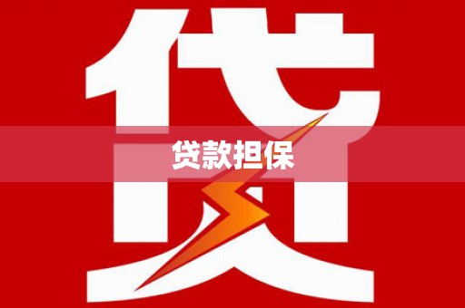 水林贷款担保