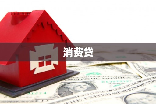 水林消费贷
