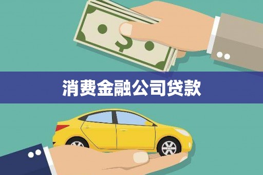 水林消费金融公司贷款