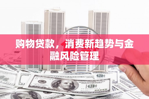 水林购物贷款，消费新趋势与金融风险管理