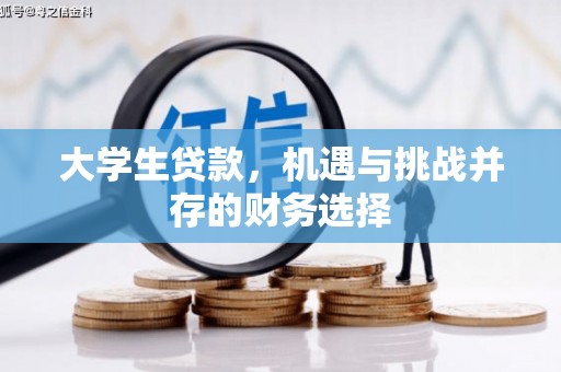 水林大学生贷款，机遇与挑战并存的财务选择