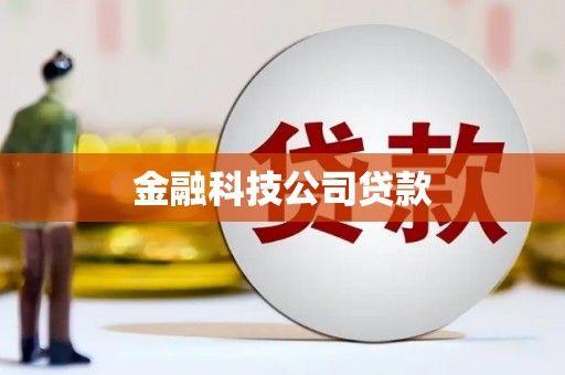 水林金融科技公司贷款
