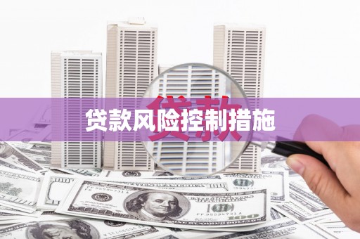 水林贷款风险控制措施