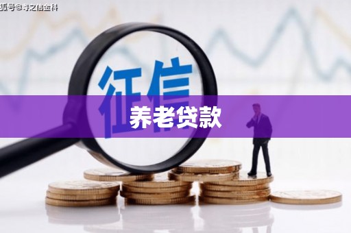 水林养老贷款