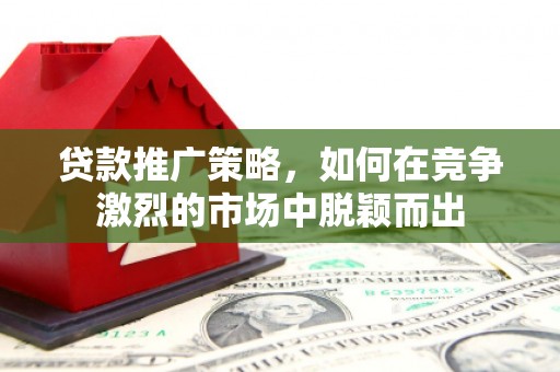 水林贷款推广策略，如何在竞争激烈的市场中脱颖而出