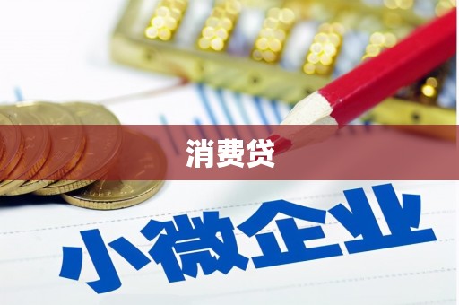 水林消费贷