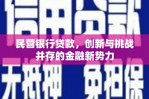 水林民营银行贷款，创新与挑战并存的金融新势力