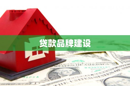 水林贷款品牌建设