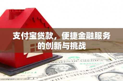 水林支付宝贷款，便捷金融服务的创新与挑战