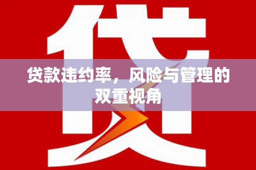 水林贷款违约率，风险与管理的双重视角