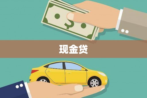 水林现金贷