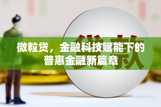 水林微粒贷，金融科技赋能下的普惠金融新篇章