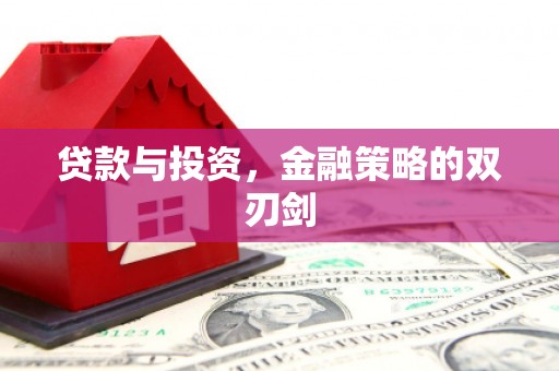 水林贷款与投资，金融策略的双刃剑