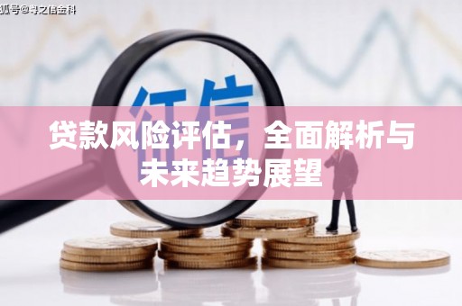 水林贷款风险评估，全面解析与未来趋势展望