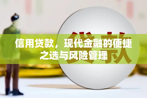 水林信用贷款，现代金融的便捷之选与风险管理