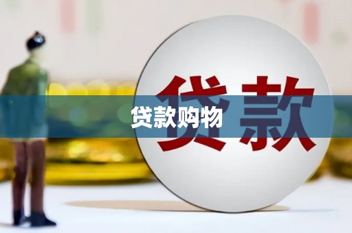 水林贷款购物