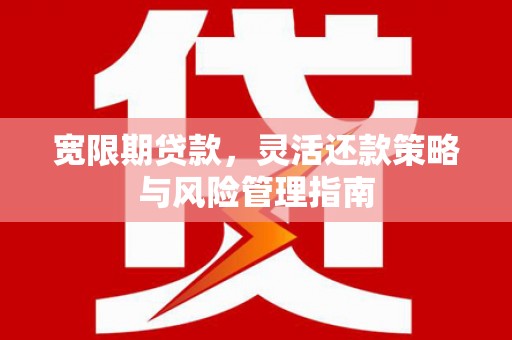 水林宽限期贷款，灵活还款策略与风险管理指南