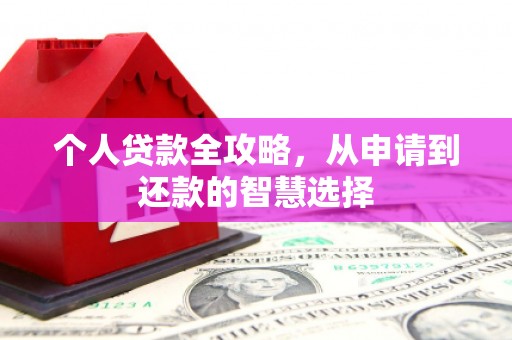 水林个人贷款全攻略，从申请到还款的智慧选择
