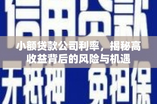 水林小额贷款公司利率，揭秘高收益背后的风险与机遇