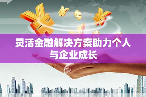 水林灵活金融解决方案助力个人与企业成长