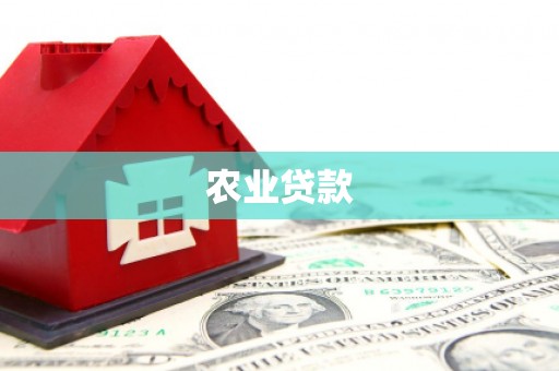 水林农业贷款
