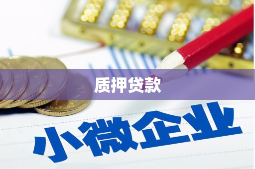 水林质押贷款