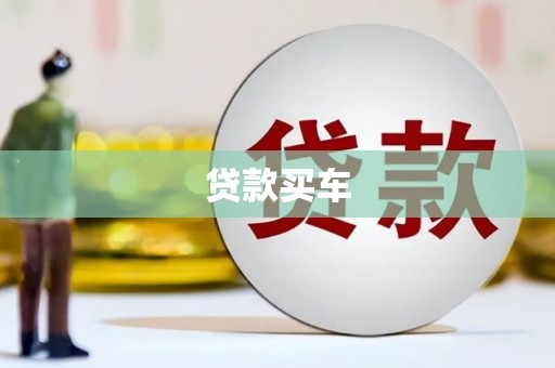 水林贷款买车