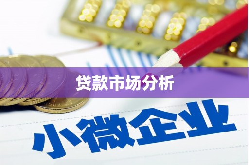 水林贷款市场分析