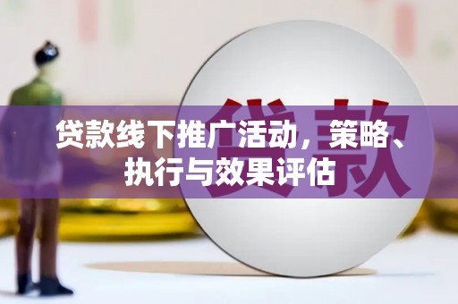 水林贷款线下推广活动，策略、执行与效果评估