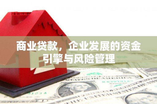水林商业贷款，企业发展的资金引擎与风险管理