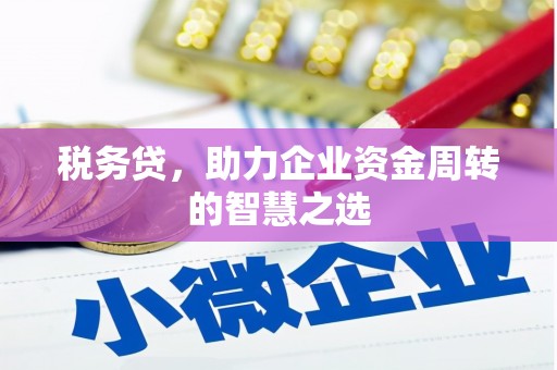 水林税务贷，助力企业资金周转的智慧之选