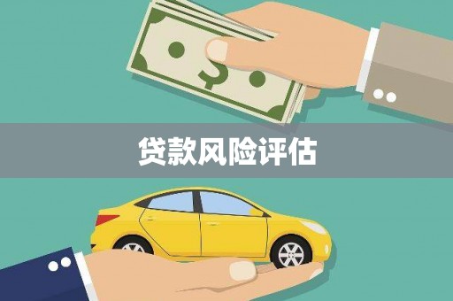 水林贷款风险评估