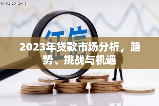 水林2023年贷款市场分析，趋势、挑战与机遇