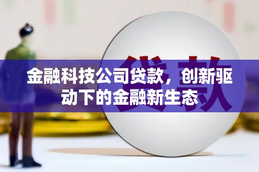 水林金融科技公司贷款，创新驱动下的金融新生态