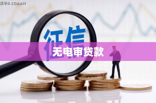 水林无电审贷款
