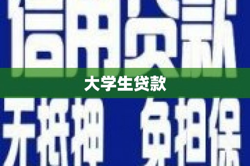 水林大学生贷款