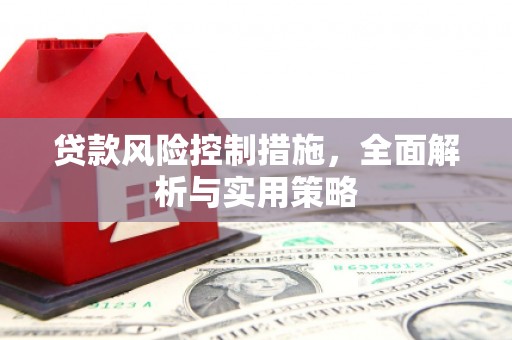 水林贷款风险控制措施，全面解析与实用策略