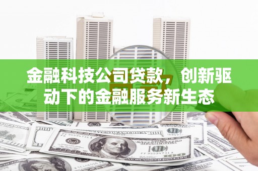 水林金融科技公司贷款，创新驱动下的金融服务新生态
