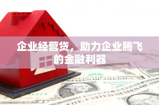 水林企业经营贷，助力企业腾飞的金融利器