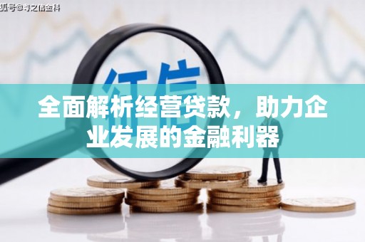 水林全面解析经营贷款，助力企业发展的金融利器