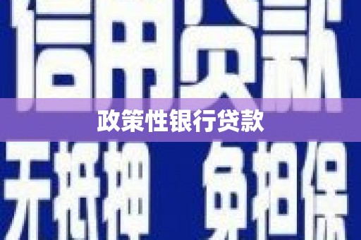 水林政策性银行贷款