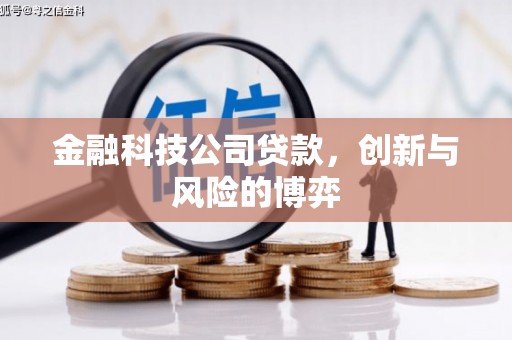 水林金融科技公司贷款，创新与风险的博弈