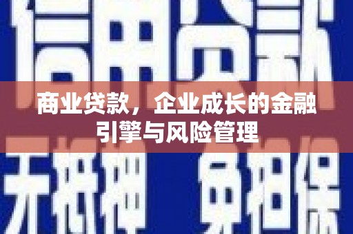 水林商业贷款，企业成长的金融引擎与风险管理
