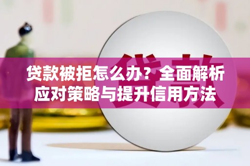 水林贷款被拒怎么办？全面解析应对策略与提升信用方法