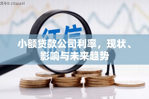 水林小额贷款公司利率，现状、影响与未来趋势