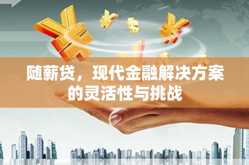 水林随薪贷，现代金融解决方案的灵活性与挑战