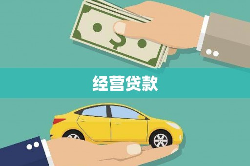 水林经营贷款