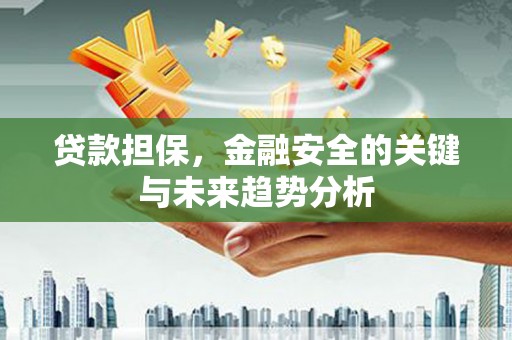 水林贷款担保，金融安全的关键与未来趋势分析