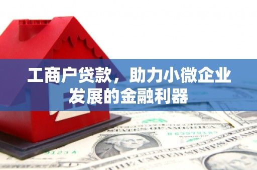 水林工商户贷款，助力小微企业发展的金融利器